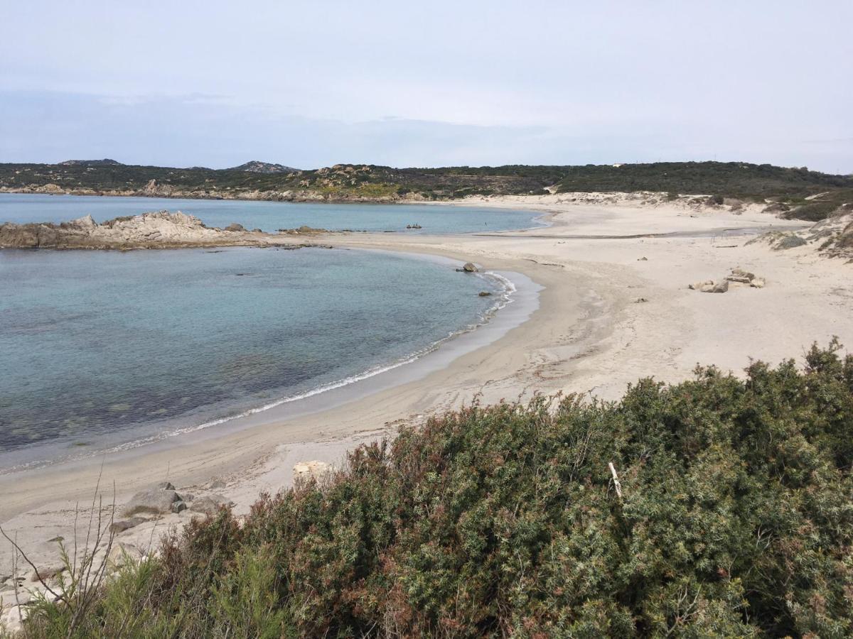 Monolocale A Rena Majore Di Gallura Экстерьер фото