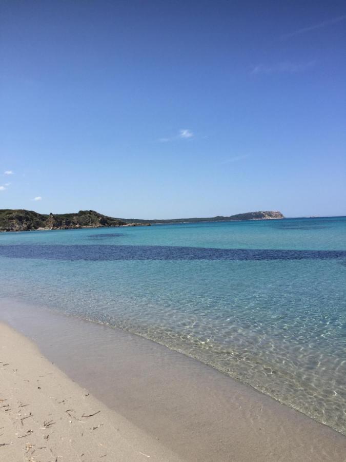 Monolocale A Rena Majore Di Gallura Экстерьер фото